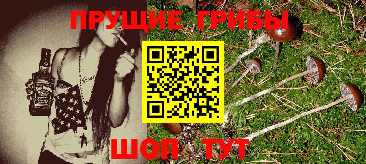 Псилоцибиновые грибы мицелий  как найти закладки  Вход с VPN  Тихорецк  Псилоцибиновые грибы MAGIC MUSHROOMS 