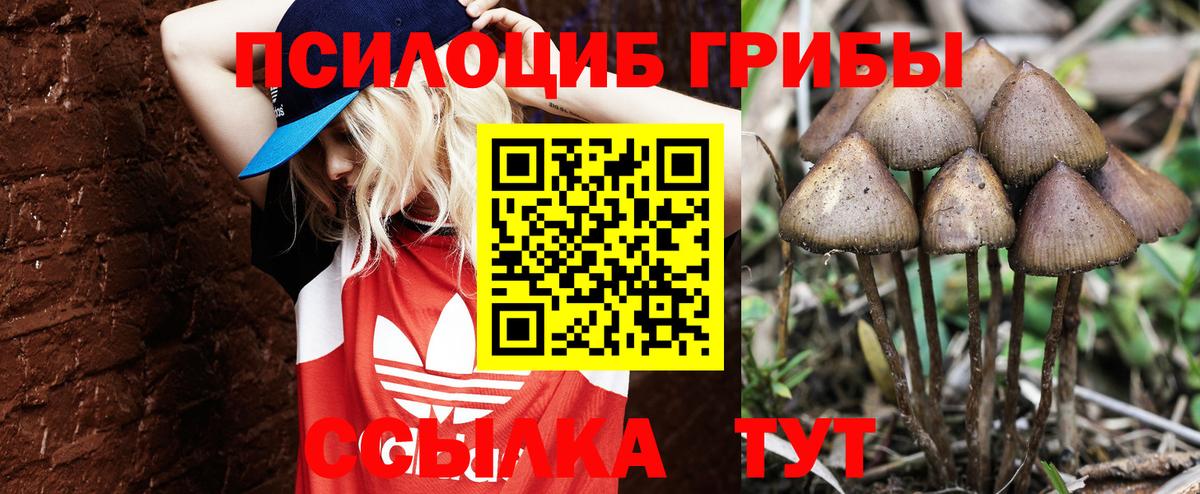 Галлюциногенные грибы MAGIC MUSHROOMS Тихорецк